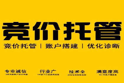 案例剖析：SEM推广竞价代运营助力企业拓展业务领域